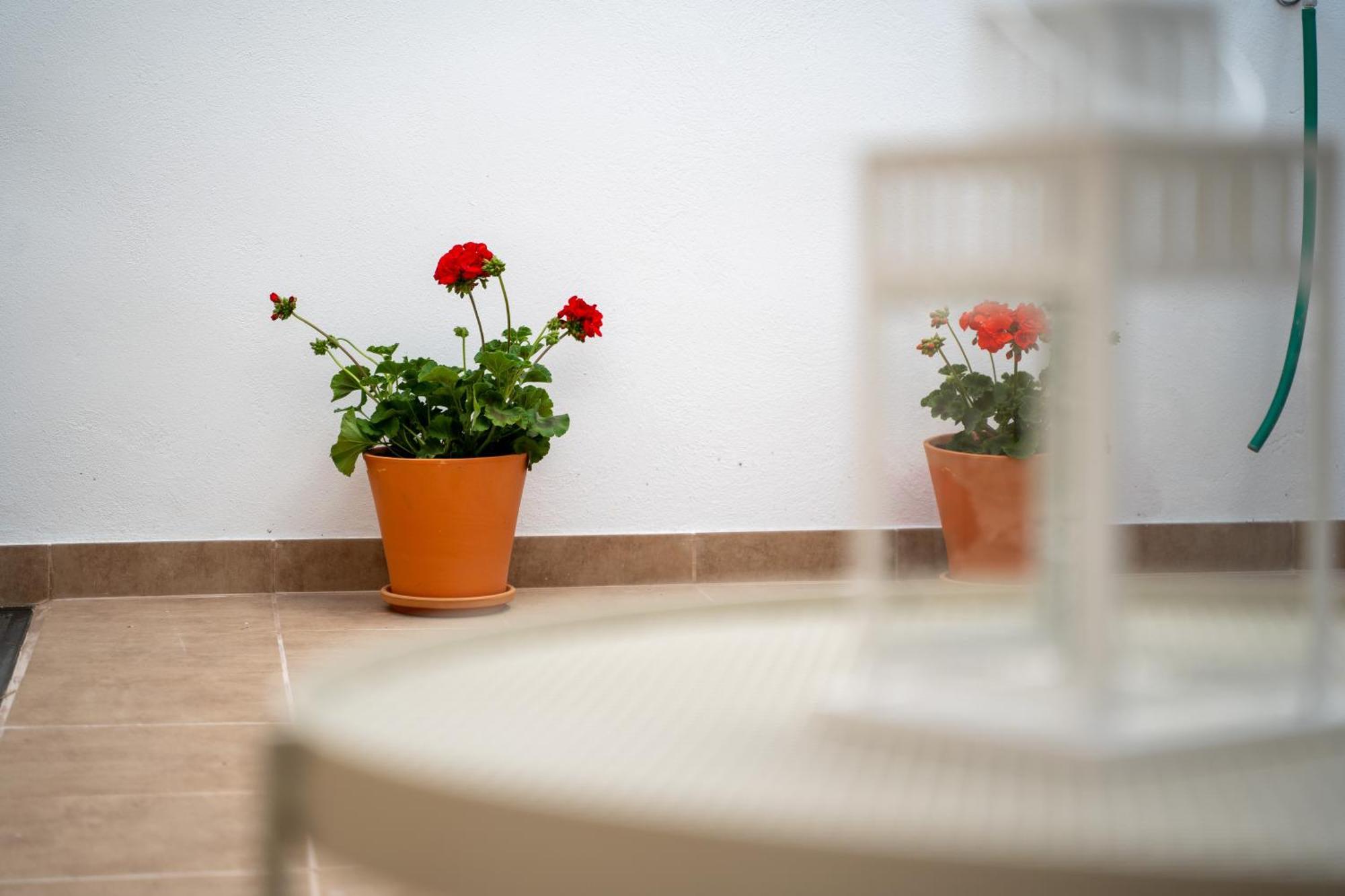 El Secreto De Chirinos Apartment Ubeda  Exterior photo
